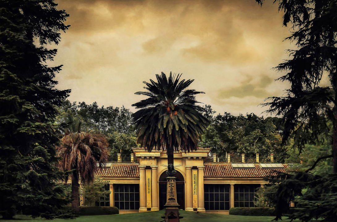 Una imagen del Real Jardín Botánico gana el X Premio Eurostars Madrid Tower de Fotografía