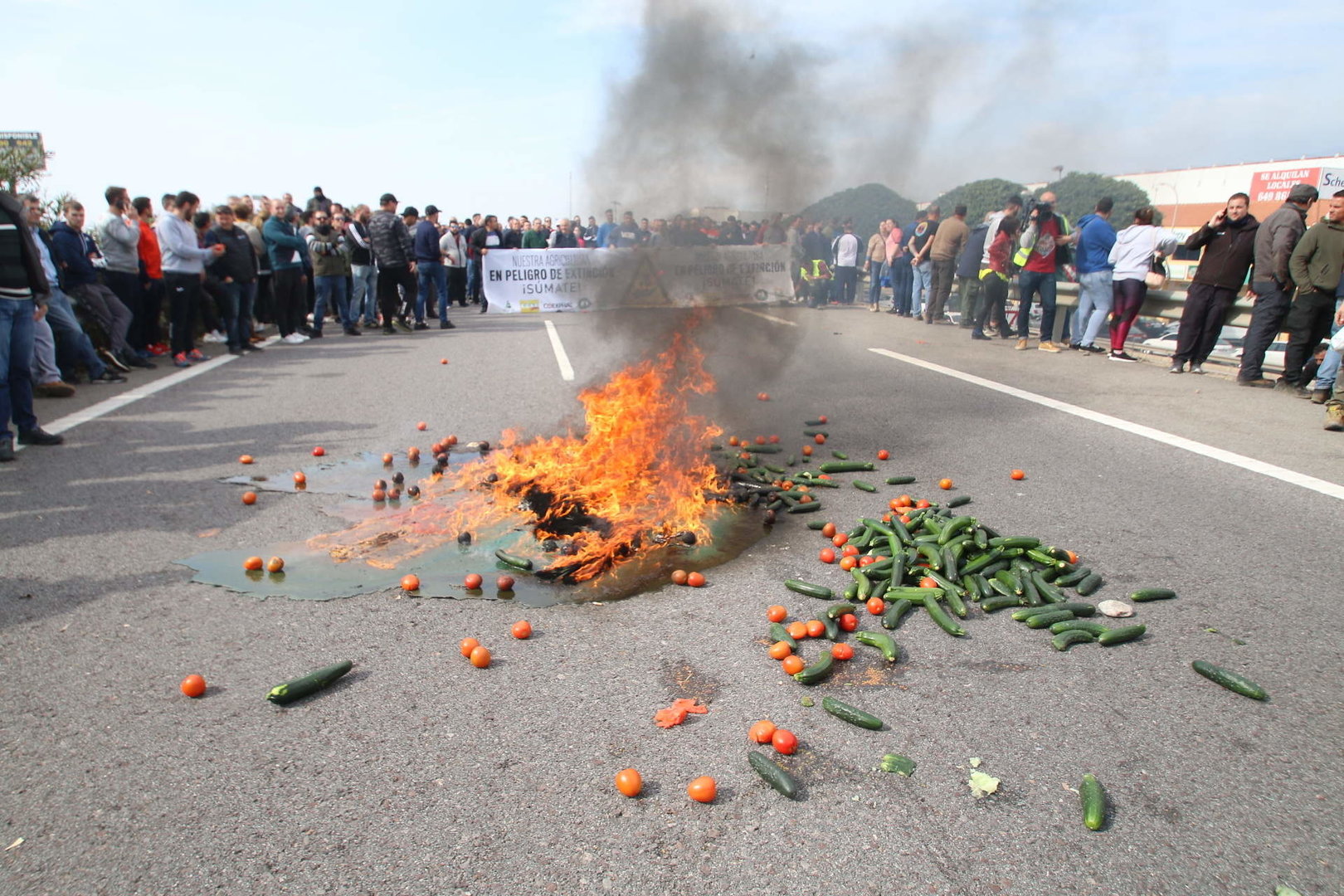 En 2020, un grupo de agricultores cortó la A-7 en El Ejido (Almería) como protesta por la situación del sector hortofrutícola (Foto- Rafael González : Europa Press) 