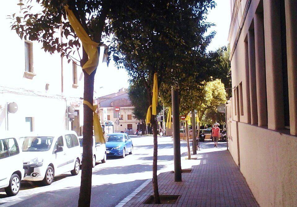 Lazos amarillos por la independencia colgados de varios árboles de Mataró.