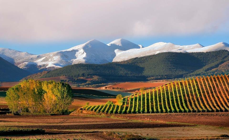 La Rioja lidera el ranking ambiental de Green Peace