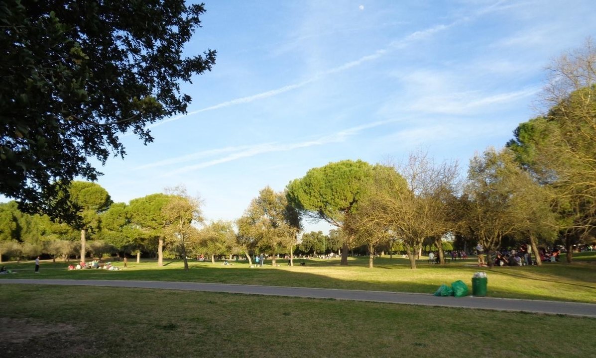 Parque del Alamillo, en Sevilla.